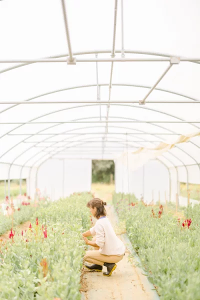 Ferme Florale BotaniK - Galerie